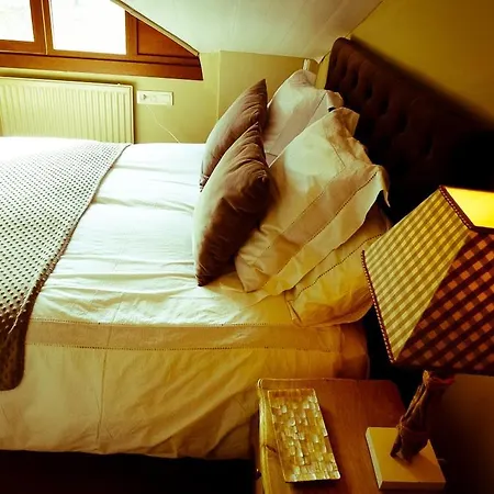 - Admite Mascotas - Apartment *